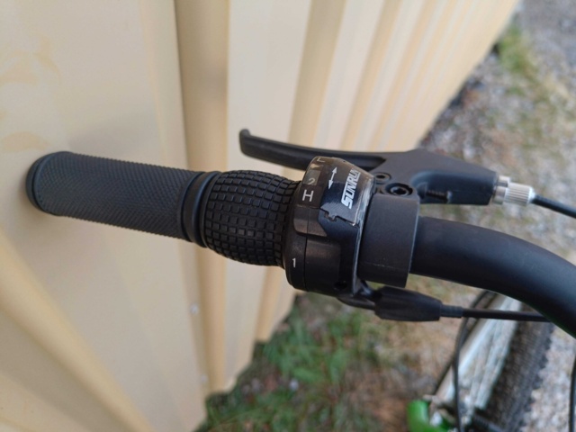 999491-13 Bicycle BKT Green