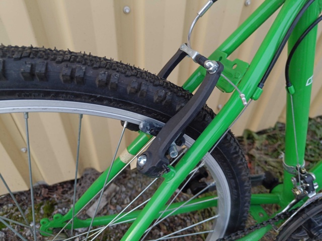 999491-17 Bicycle BKT Green