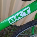 999491-18 Bicycle BKT Green