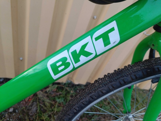 999491-18 Bicycle BKT Green