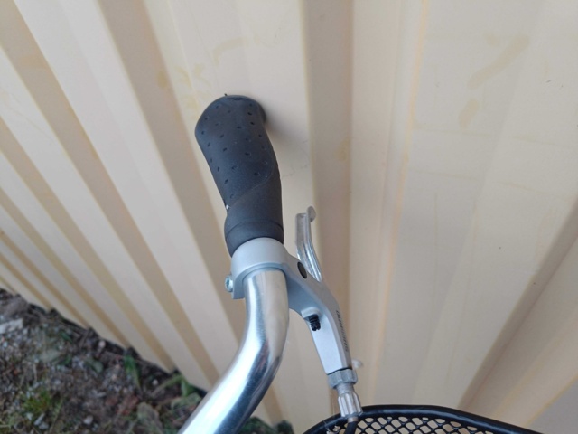 999498-10 Bicycle Yosemite City Comfort