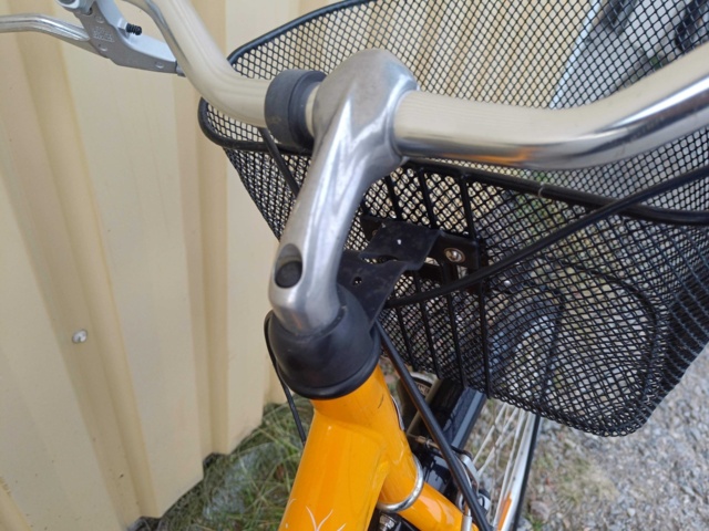 999498-11 Bicycle Yosemite City Comfort