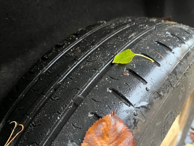 1039669-10 Ford Transit Connect T230 LWB 1.8 TDCi - 2012