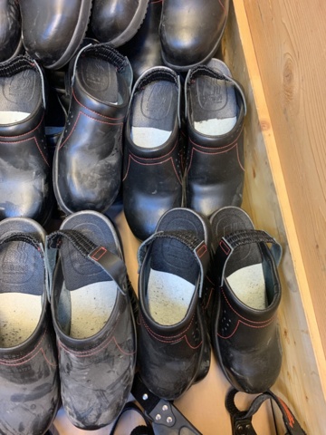 1110112-3 Safety shoes a pallet