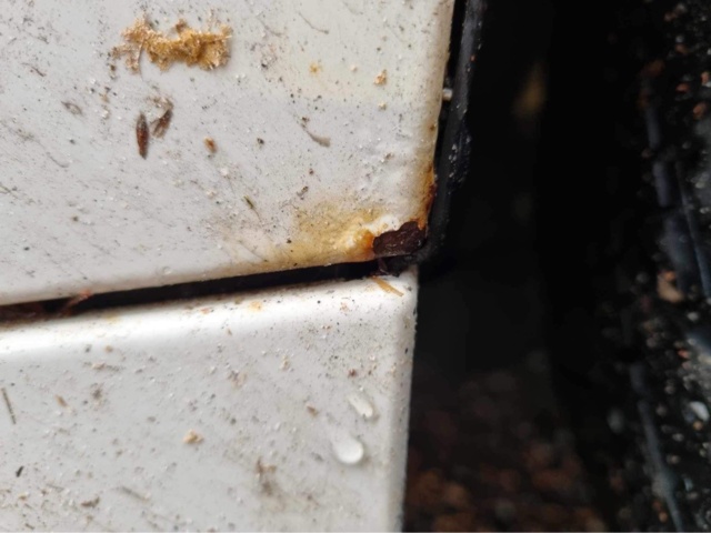 1110717-13 BMW 120d M Sport - 2008