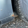 1111923-9 Volkswagen Touran 1.6 FSI - 2004 Repair item