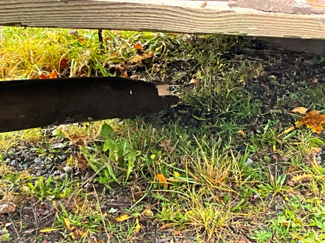 1061750-3 4-wheel cart