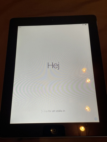 1060491-1 iPad older model