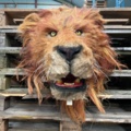 1112680-2 Artificial Lion Head