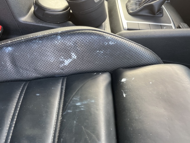 1051270-36 Volkswagen Amarok Dual Cab 2.9t 3.0 V6 TDI 4Motion - 2019