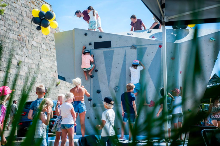 1109901-3 Klättervägg/boulderingsvamp