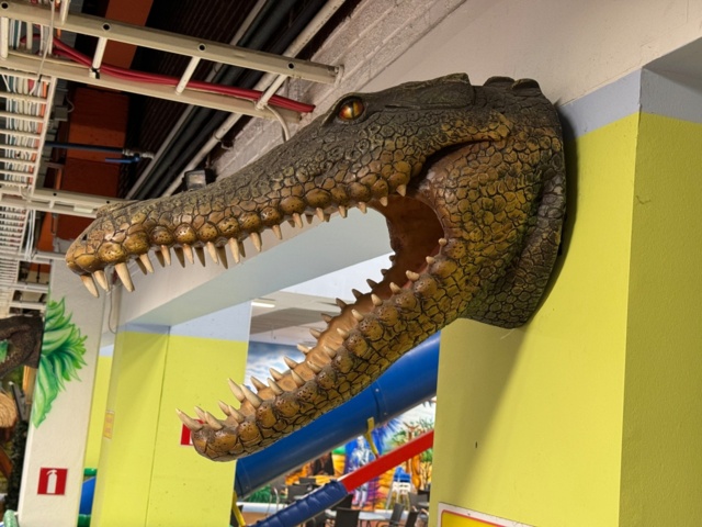 1113397-1 Replica Crocodile skull approximately 70 cm protruding