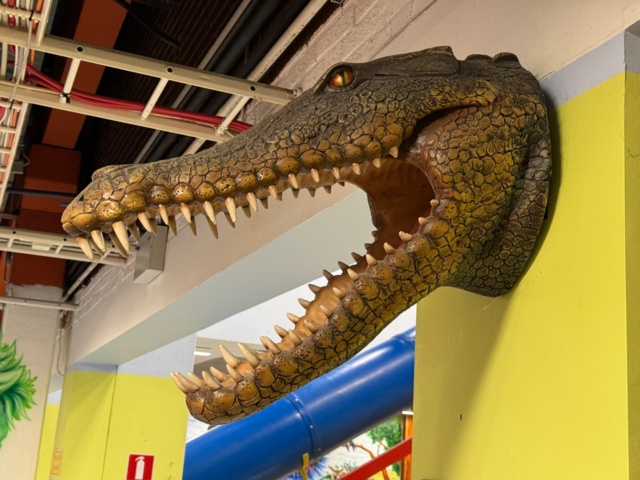 1113397-2 Replica Crocodile skull approximately 70 cm protruding