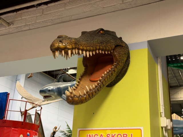 1113397-3 Replica Crocodile skull approximately 70 cm protruding