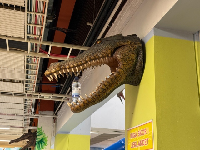 1113397-5 Replica Crocodile skull approximately 70 cm protruding