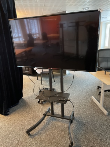 1066583-1 LG screen/tv 55&quot; with stand