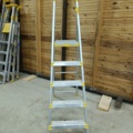 999821-2 Stepladder Wibe