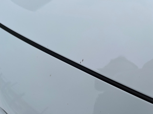 1115267-59 Kia Ceed Sportswagon Plug-in Hybrid DCT, 141hp, 2022