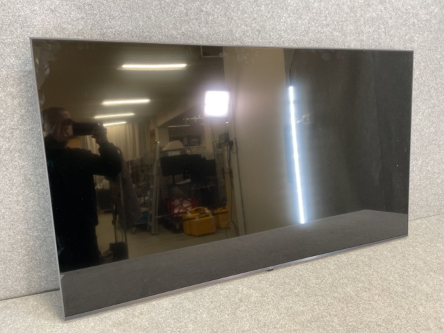 1116399-1 LG 65” Screen