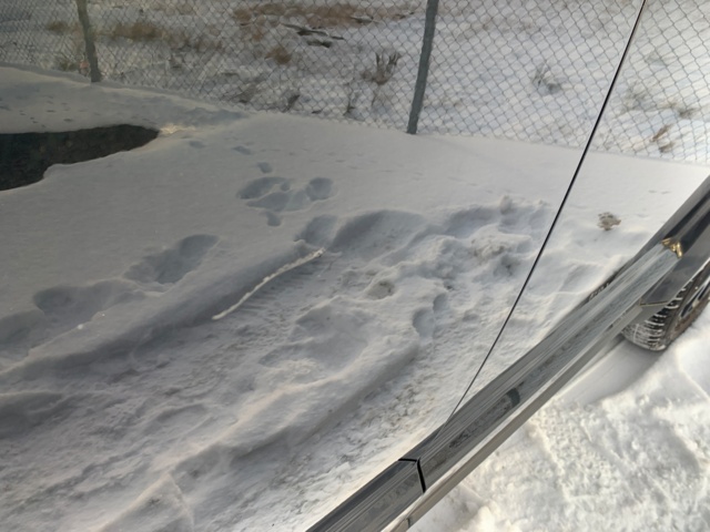 1116409-44 Fiat Freemont 2.0 Multijet 4x4 - 2014