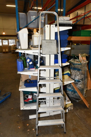 1118395-1 2 ladders + pallet