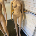 1121619-3 5 Mannequins
