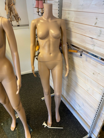 1121619-3 5 Mannequins