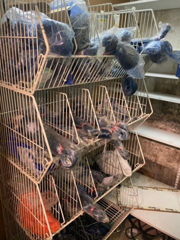 1122823-142 Lot of fishing equipment and accessories