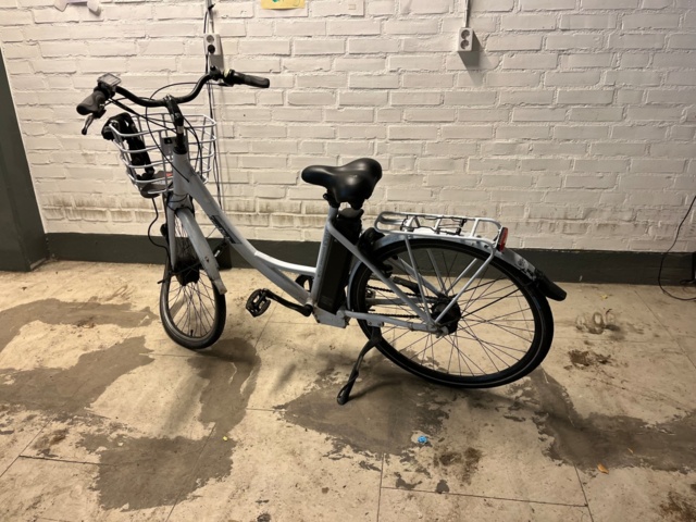 1121573-1 Elcykel EcoRide Ambassador