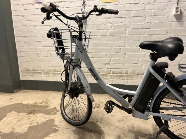 1121573-3 Elcykel EcoRide Ambassador