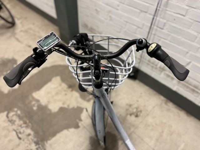 1121573-5 Elcykel EcoRide Ambassador