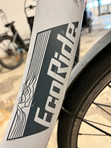 1121573-9 Elcykel EcoRide Ambassador