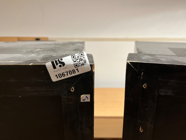 1067081-10 2 speakers Pyle Driver Pro