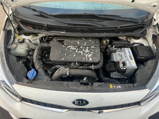 919694-20 Kia Picanto 1.0 T-GDI Manual, 100hp, 2018 (Repair item)