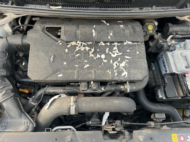 919694-22 Kia Picanto 1.0 T-GDI Manual, 100hp, 2018 (Repair item)