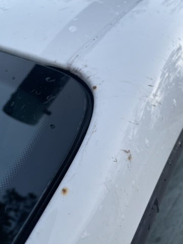 1116516-30 Volkswagen Caddy Van 2.0 TDI BlueMotion - 2018