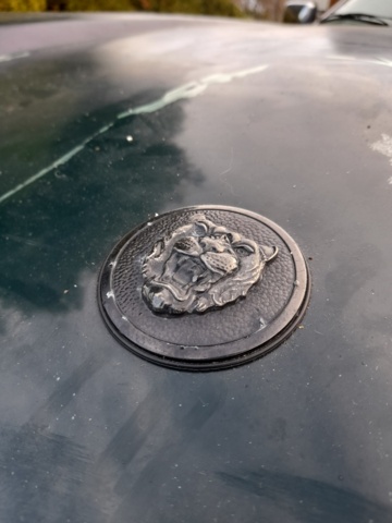 1028258-9 Jaguar XJS 4.0 Manual, 226hp, 1994