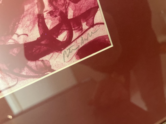 1052922-7 Painting Peter Dahl - Red