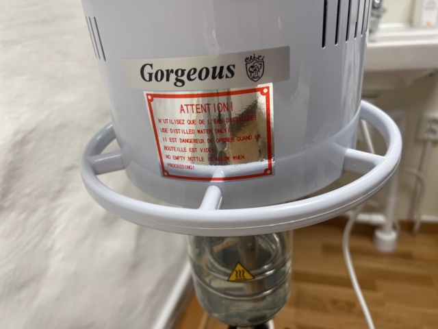 1052925-5 Steam machine ION Steam Skin device 303B -2022