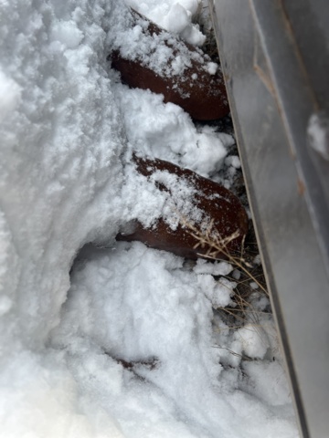 1069514-6 Hundai R450R bucket teeth