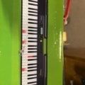 1069537-3 Casio LK-s250 keyboard