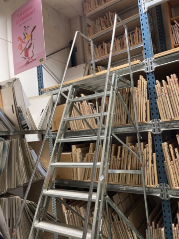 1131845-5 Platform ladder 12 steps