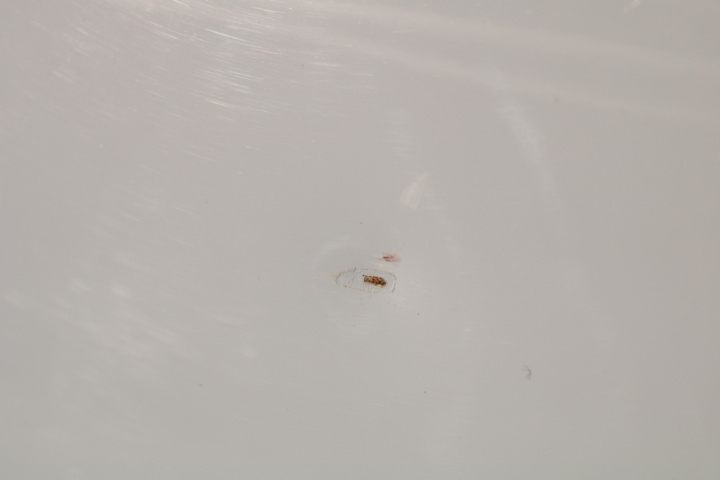 999144-16 Škoda Yeti 2.0 TDI 4x4 - 2012