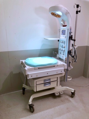 1161823-2 GE Healthcare Giraffe Warmer