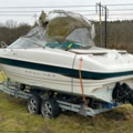 1144027-5 Bayliner Capri 2352 LX, With boat trailer