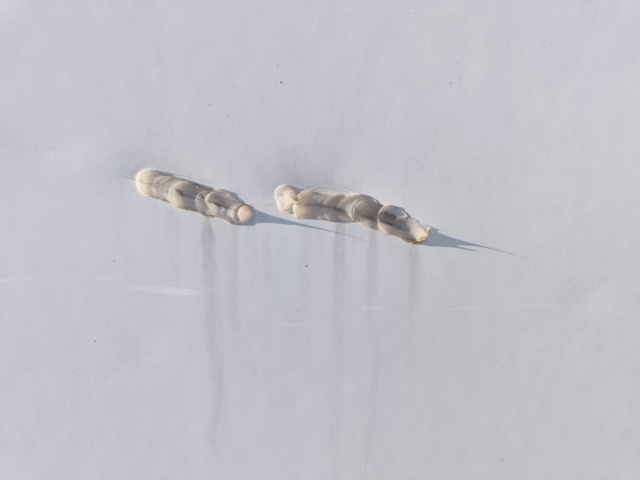 1128993-36 Iveco Daily 35S13 -2000