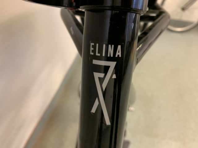 1065728-3 Electric bike Crescent Elina