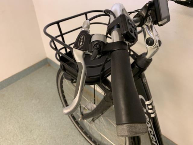 1065728-7 Electric bike Crescent Elina