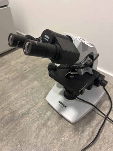 1110518-1 Microscope Novex Holland B-Series