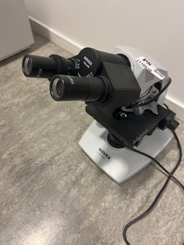 1110518-3 Microscope Novex Holland B-Series